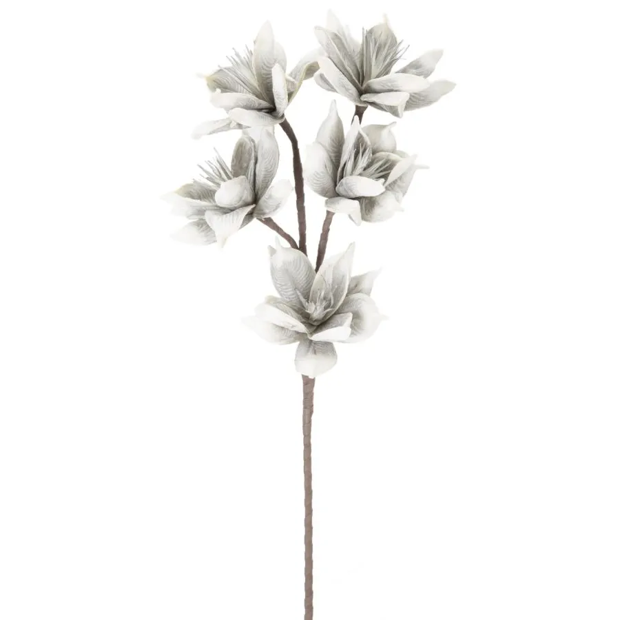 WINTERSWEET FLOWER X5 SZARY Ø 20X96 MIN 8 cm